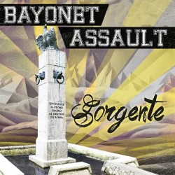 CD Bayonet Assault – Sorgente
